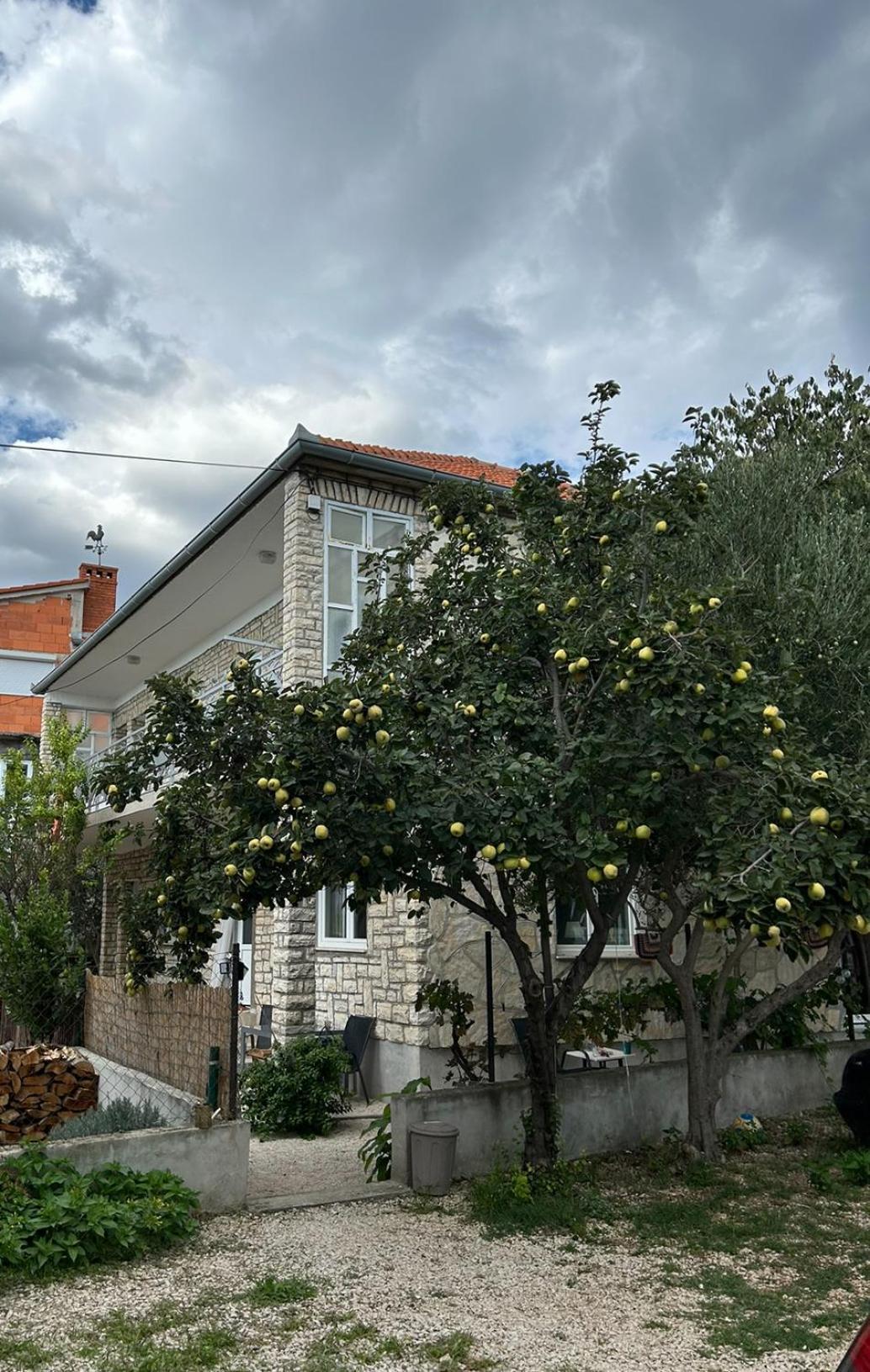 Villa Jadran Zadar Free Parking Sea View מראה חיצוני תמונה